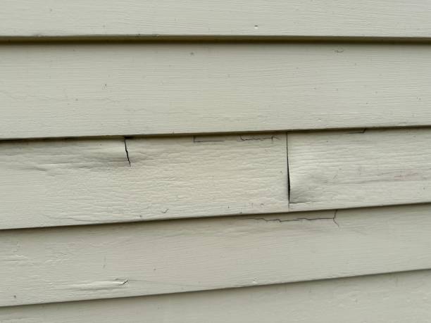 Best Shed Removal  in Roosevelt, NY